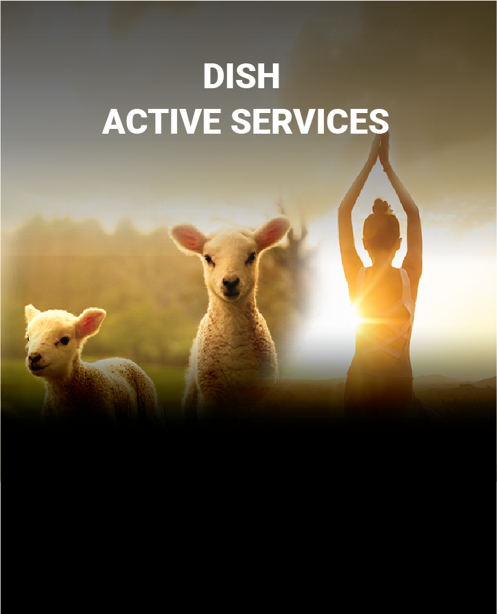 activeservice-mobile-banner